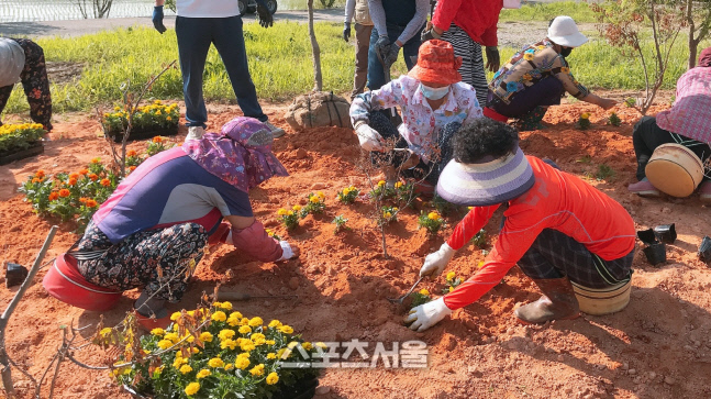 장성군, 꽃과 나무가 공존하는 ‘아름다운 장성’ 군민과 함께 만든다