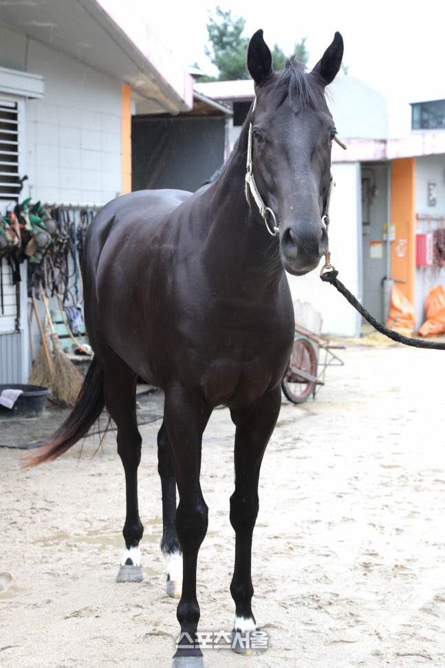 기획3 문화일보배_컴플리트밸류