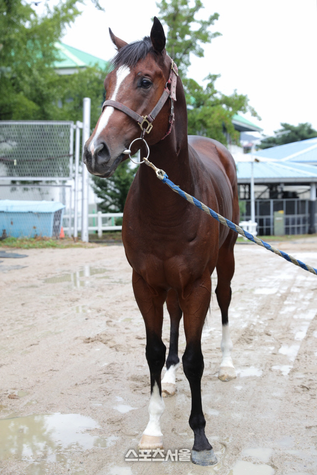 기획3 문화일보배_원평가속