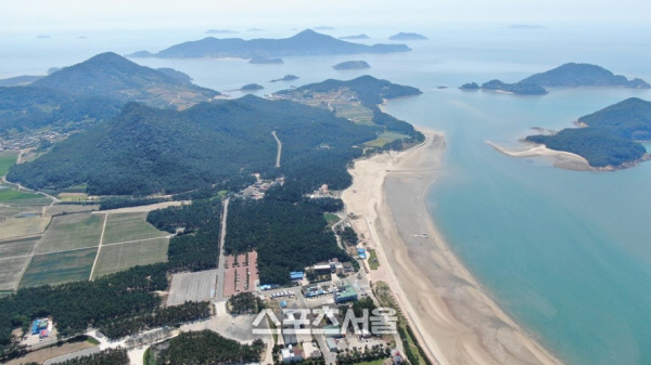 신안