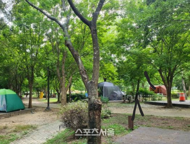 광주광역시, “코로나19로 지친 마음 캠핑으로 날려요”