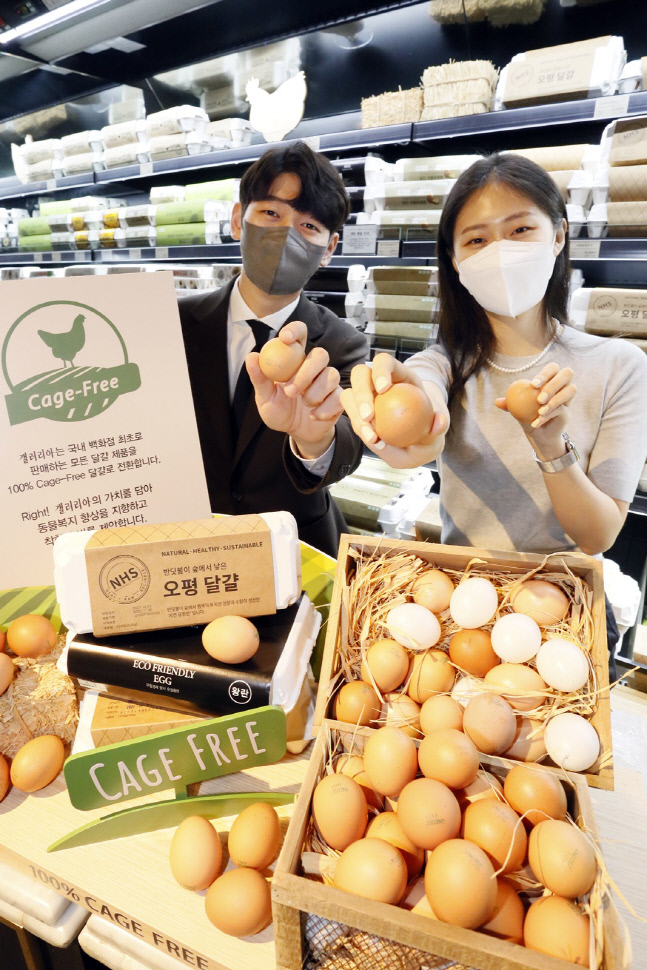 갤러리아백화점, 백화점 최초 '100% 케이지-프리' 전환 선언