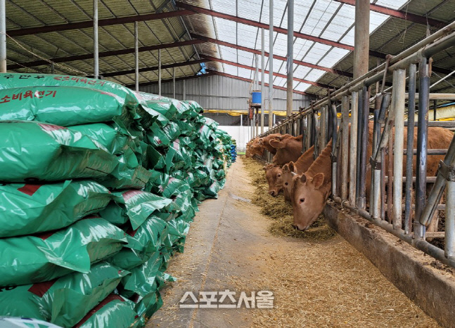 사본 -트리티케일 TMR 급여