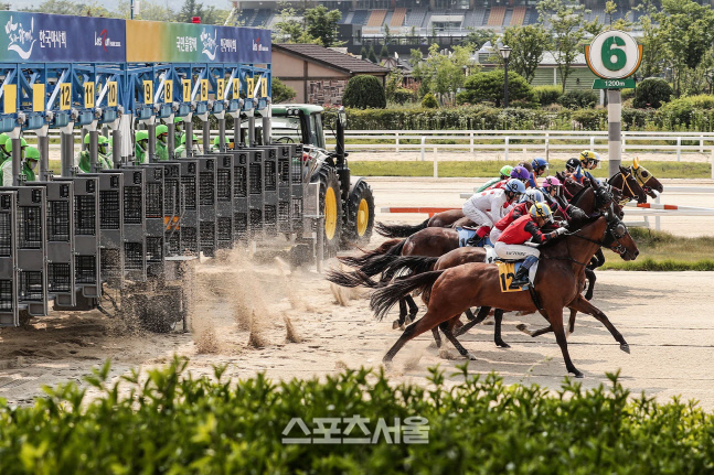 한국마사회, '단계적 일상회복' 발맞춰 5일부터 고객 입장 재개