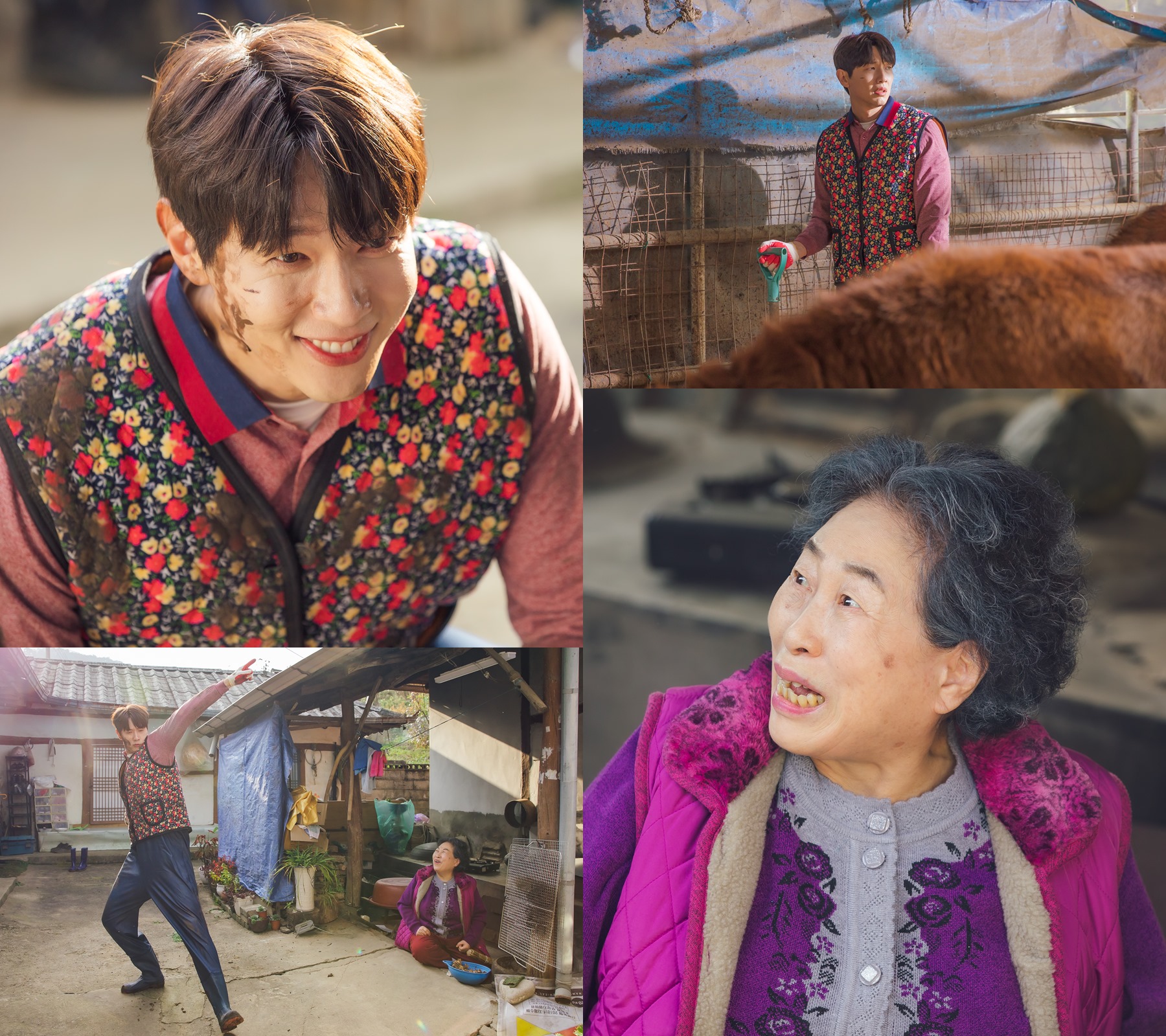 기억 잃은 지현우, 소똥 치우며 전원주와 아찔한 동거. 충격 예고편(신사와 아가씨)