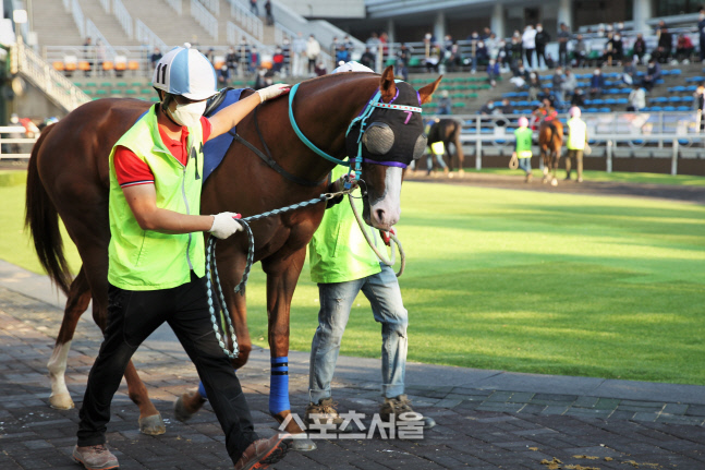 기획2. 김해시장배 출전_맨오브더이어