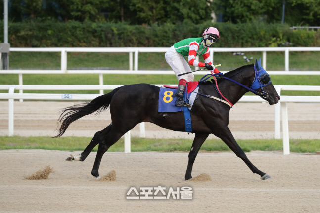 기획2. 문화일보배 우승_컴플리트밸류