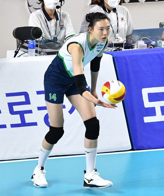 현대건설 양효진