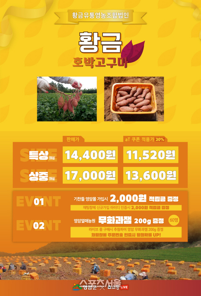 영암군, 캠핑장에서 구워 먹는 군고구마 라이브커머스 실시