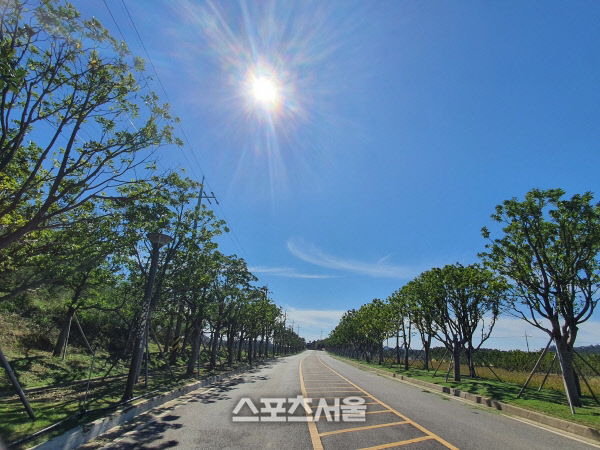 신안군, 증도 미세먼지 차단숲 조성 사업비 40억원 확보