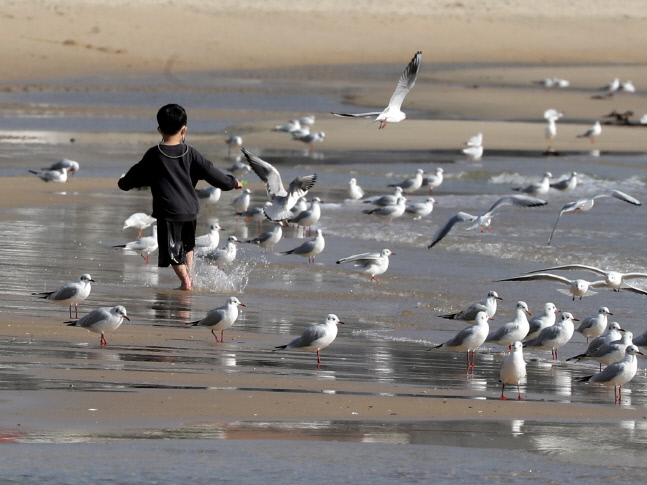 [내일날씨] 낮최고 15도 포근한 토요일, 일요일 낮부터 강풍 한파