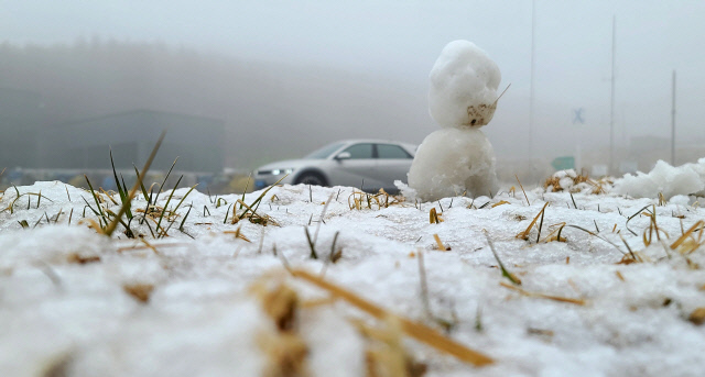 0003997941_001_20211217050101024