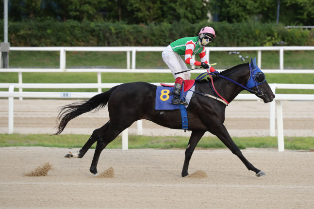 (기획2) 컴플리트밸류