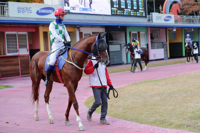 (기획2) 더블에지