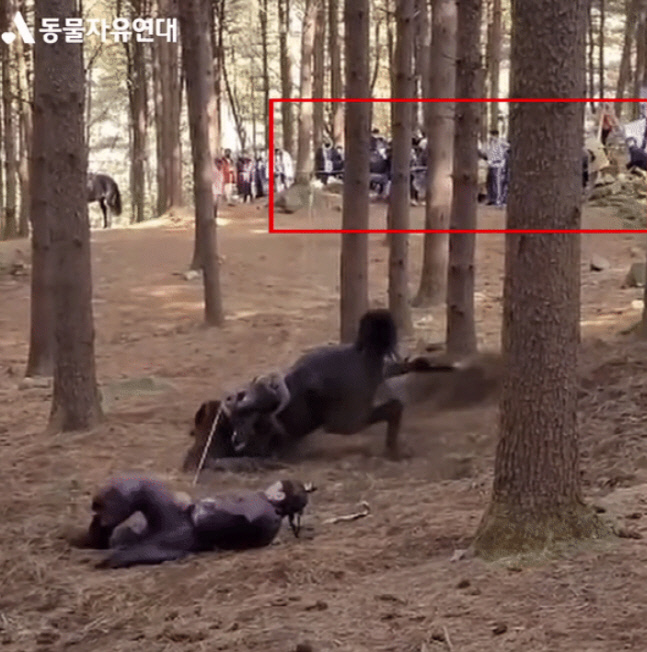 20220121063451_캡처_2022_01_21_06_01_39_564