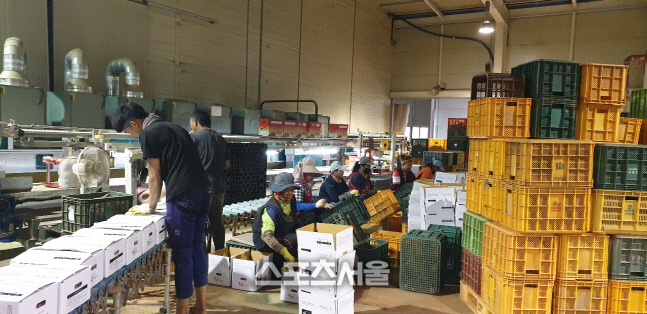 고창황토배기유통,  작년 1억5000만원 매출이익 달성…2년 연속 ‘흑자’