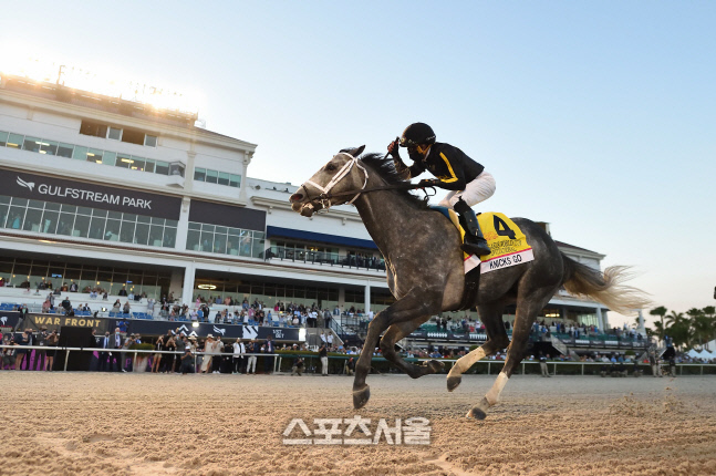 세계챔피언 경주마 ‘닉스고’, 은퇴무대 ‘페가수스월드컵’ 준우승