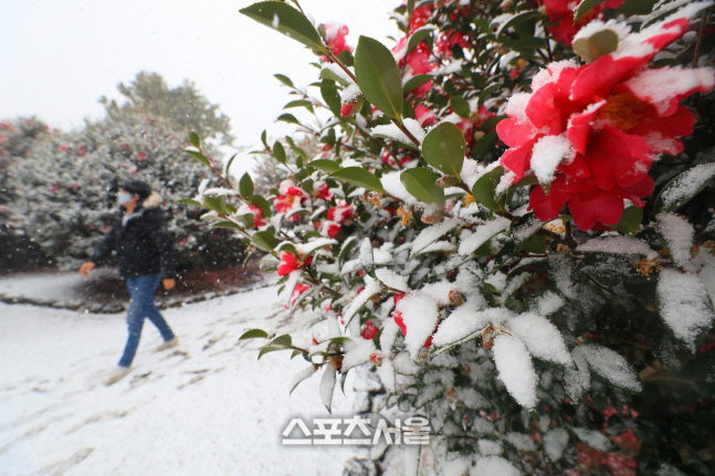 2022011901000761300053831