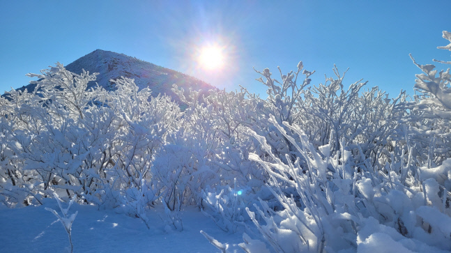 [기상속보]오전 7시30분, 서울 전역에 대설주의보 해제