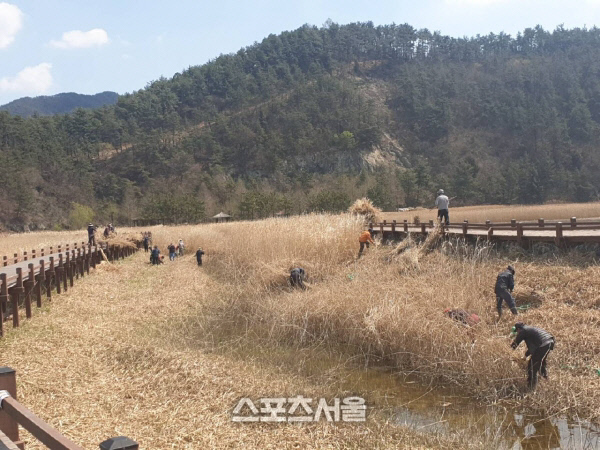 순천