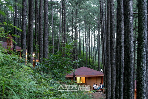 광양시,백운산 휴양림