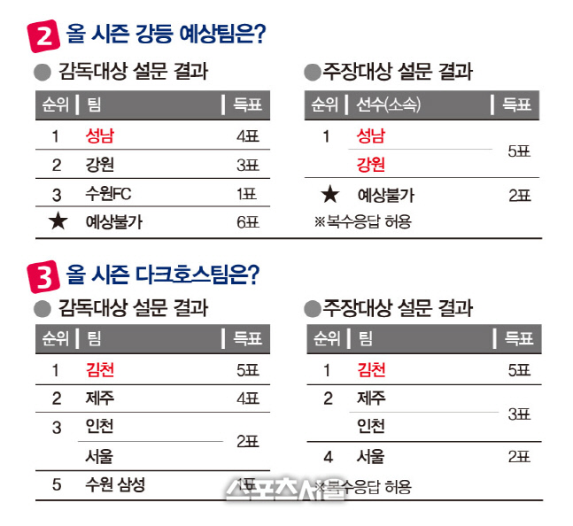 강등및다크호스팀