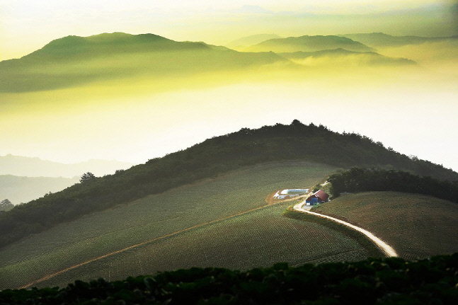 김도형 작가의 '풍경이마음에게 그 세번 째', 부산 이웰갤러리에서 3월 18일까지 열려