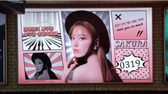 사쿠라