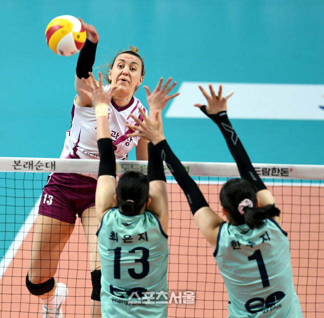 [포토] 옐레나 \'블로킹 피하고\'