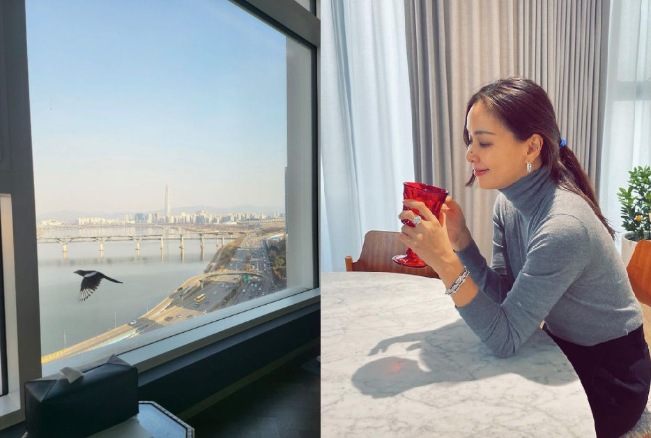 고소영, 으리으리한 한강뷰 력셔리 하우스 '눈길'[★SNS]