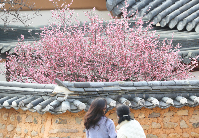 [내일날씨] 봄비 내리는 금요일, 남해안·제주 태풍급 강풍