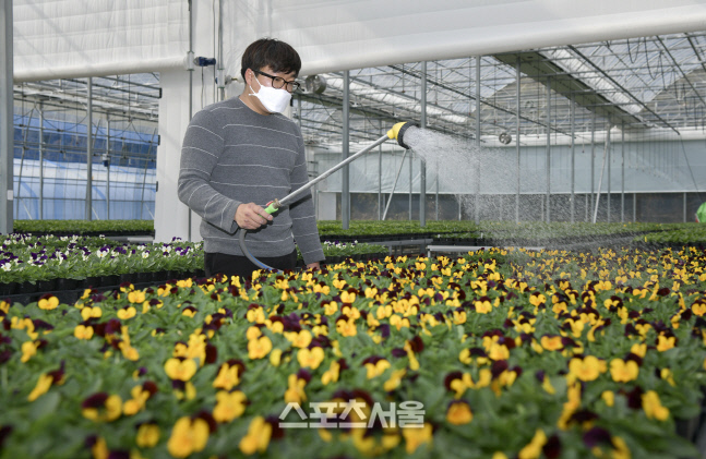 장수군, 꽃묘 12만주 본격 식재…아름답고 쾌적한 환경 조성