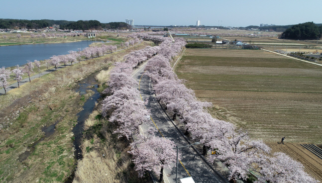 [날씨]낮 최고 24도, 일교차 매우 커...대기 매우 건조, 강원은 강풍