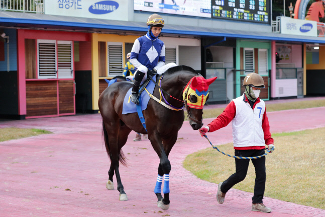 기획1 아스펜태양