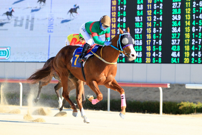 기획1 맨오브더이어