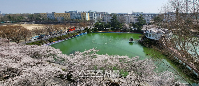 사본 -원광대학교 27