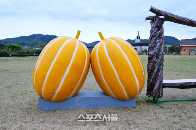 DSCF0804