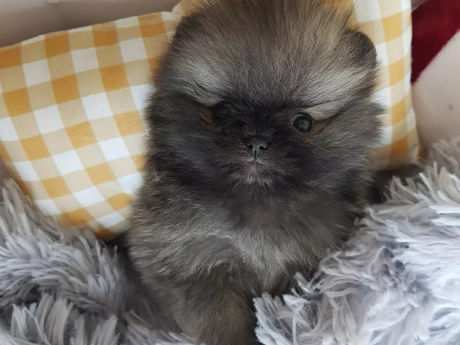 peace89421_278957512_3231321927144124_1528865017731111220_n