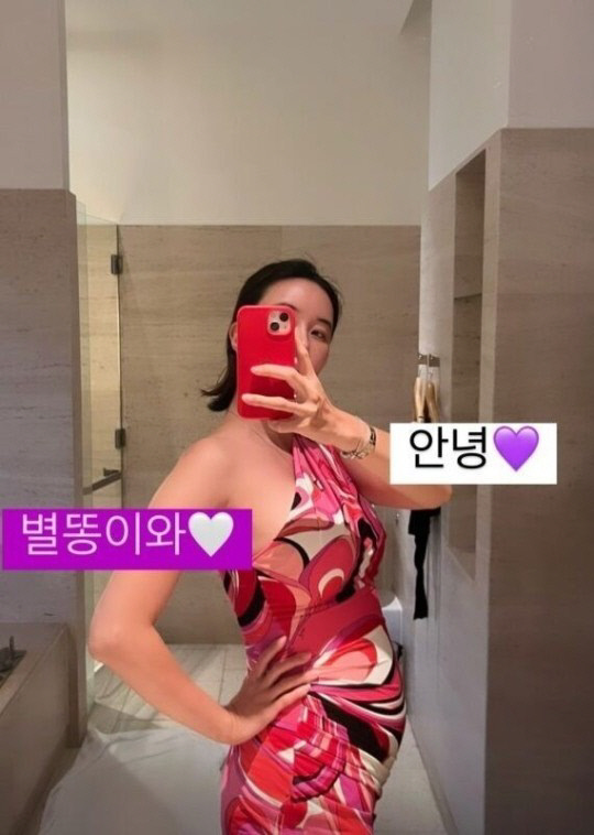 "별똥이와" 장미인애, D라인 거울셀카에 혼전 임신설[★SNS]