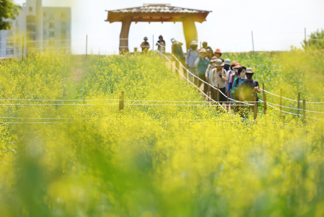 [내일날씨] 흐린 목요일...동해안, 제주도는 빗방울