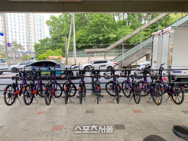 용인시, 어울林(림)파크  '타조' 시범 운영