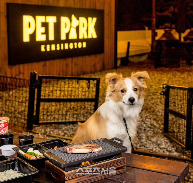 켄싱턴리조트 충주 _ 펫 바비큐