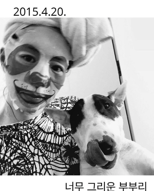 이혜영, 세상 떠난 반려견 생각에 울컥 "집에 와도 없다ㅠ"