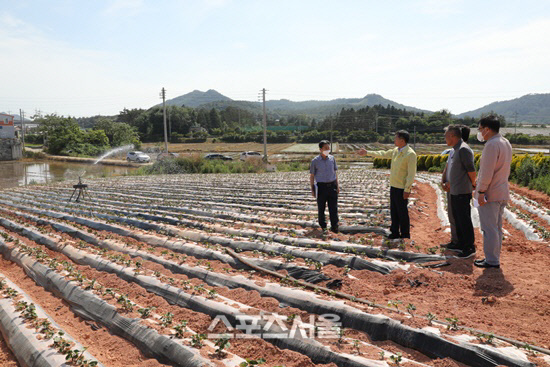 26-곽준길 권한대행 가뭄현장 점검 (3)