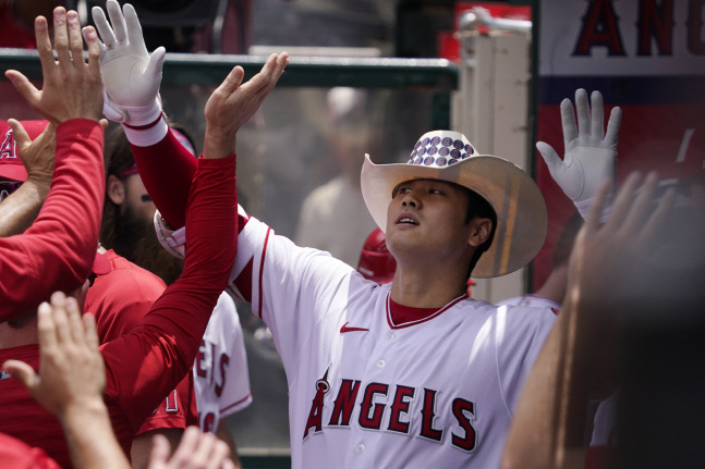 Blue Jays Angels Baseball