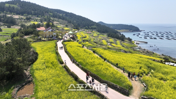 완도군, ‘청산도 슬로길’ 신지 명사십리...‘안심 관광지’ 선정