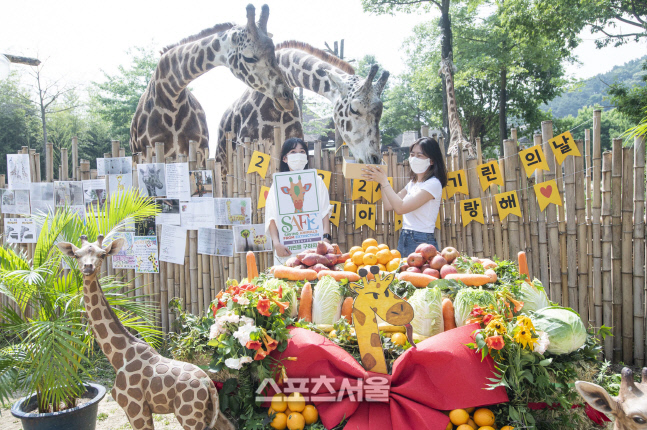 에버랜드, 세계 기린의 날 맞아 고객들과 기린 보호 활동 (1)