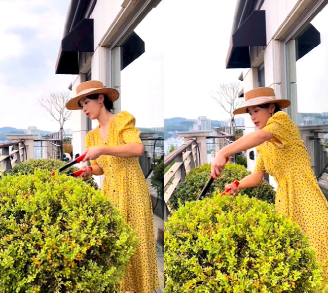 기은세, 똑 닮은 '세쌍둥이' 셀프 이발..만능 재주꾼이네[★SNS]