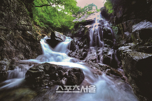 광양시, 백운산 4대 계곡에서 무더위 날려요