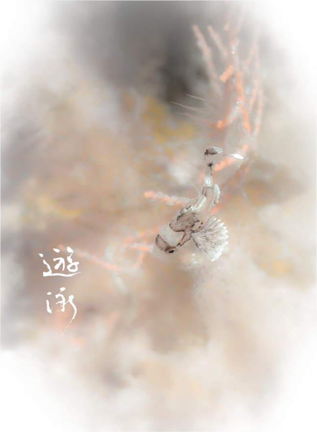 KakaoTalk_20220715_201344508